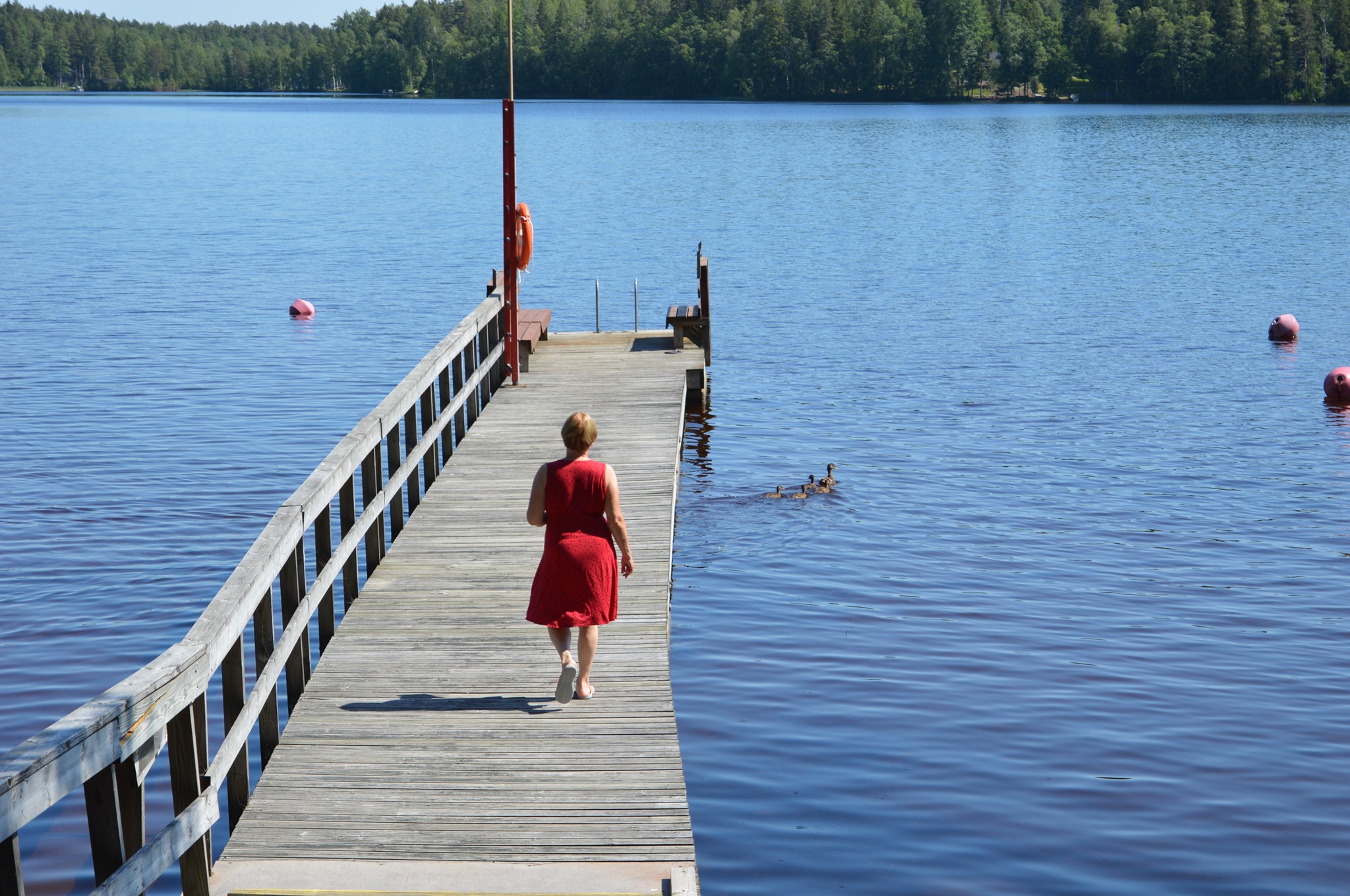 Ota Selvää 77+ Imagen Mökki Viikonlopuksi Hämeenlinna - Abzlocal Fi